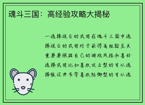 魂斗三国：高经验攻略大揭秘